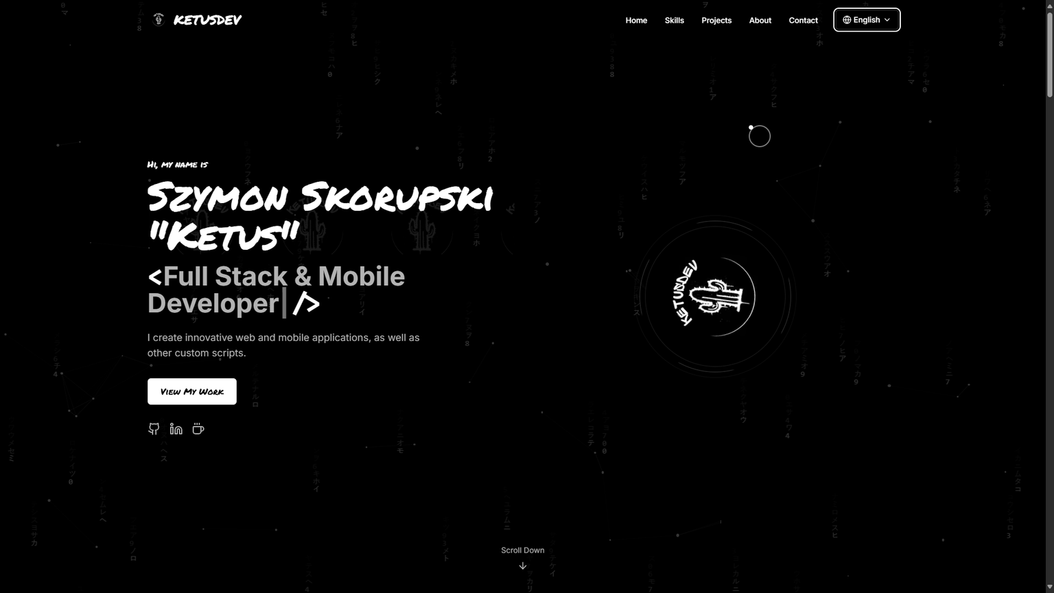 Old Portfolio project image